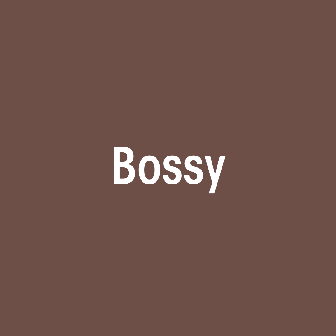 Bossy Deep Brown Brow Pencil
